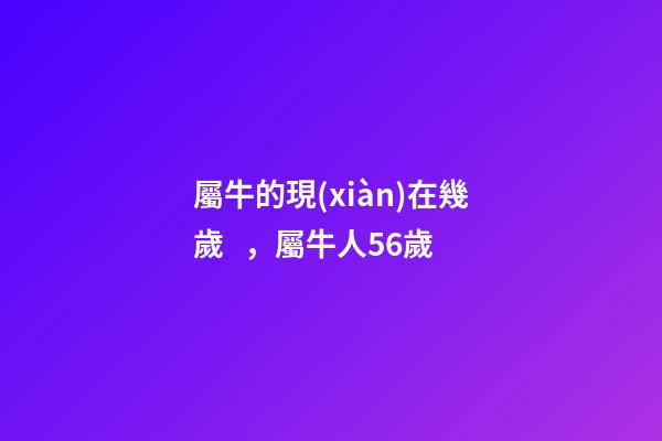 屬牛的現(xiàn)在幾歲，屬牛人56歲-第1張-觀點-玄機派